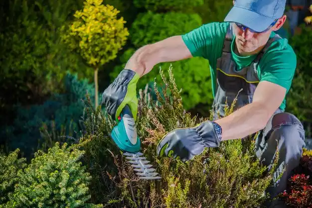 landscaping services Birch Run